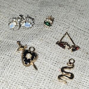 Regal Rose Stud Earrings And Charms Bundle